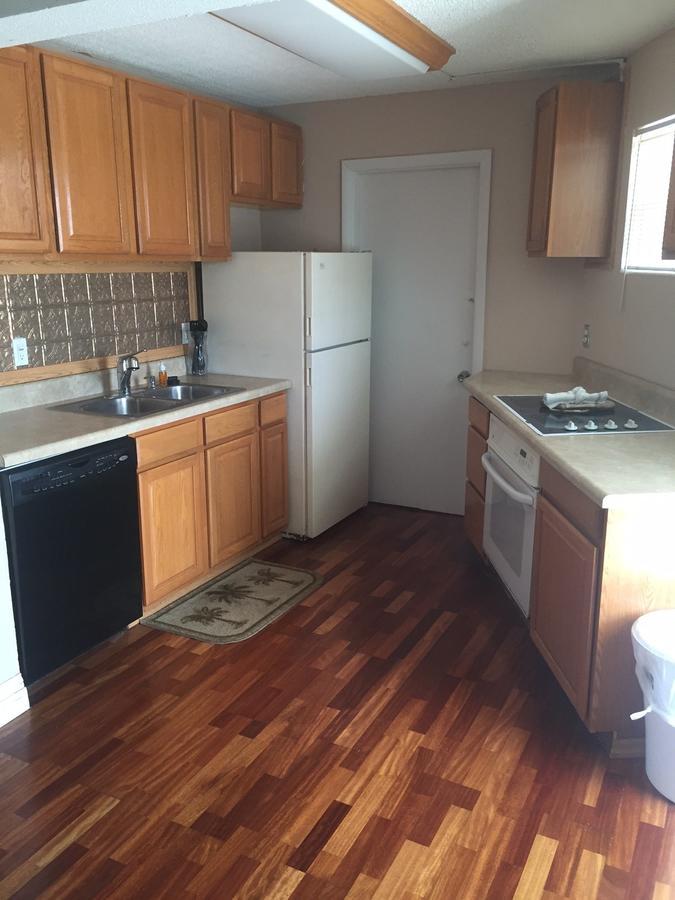 Seascape Inn - Daytona Beach Shores المظهر الخارجي الصورة